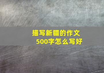 描写新疆的作文500字怎么写好