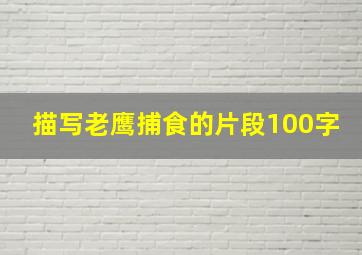 描写老鹰捕食的片段100字