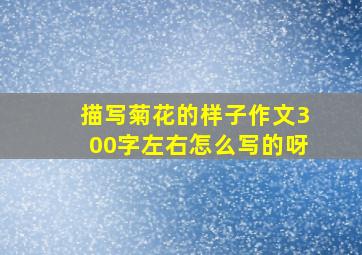 描写菊花的样子作文300字左右怎么写的呀