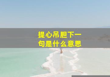 提心吊胆下一句是什么意思