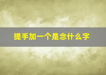 提手加一个是念什么字