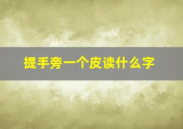 提手旁一个皮读什么字