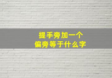 提手旁加一个偏旁等于什么字