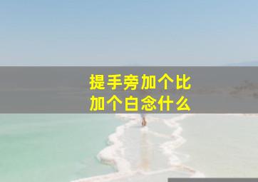 提手旁加个比加个白念什么