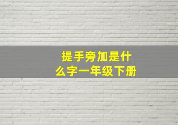 提手旁加是什么字一年级下册