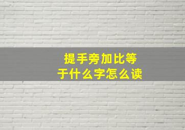 提手旁加比等于什么字怎么读