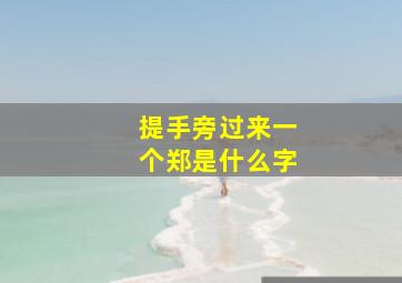 提手旁过来一个郑是什么字