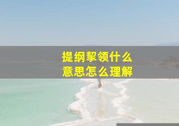 提纲挈领什么意思怎么理解