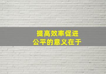 提高效率促进公平的意义在于