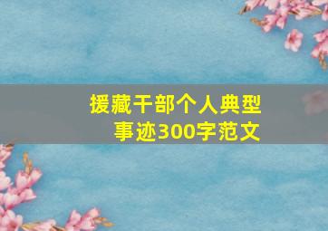 援藏干部个人典型事迹300字范文