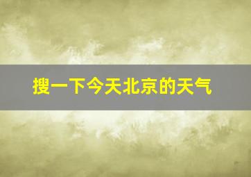 搜一下今天北京的天气