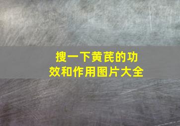 搜一下黄芪的功效和作用图片大全