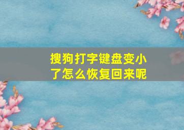 搜狗打字键盘变小了怎么恢复回来呢