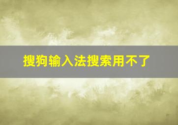 搜狗输入法搜索用不了