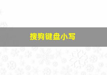 搜狗键盘小写