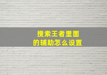 搜索王者里面的辅助怎么设置