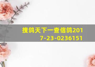 搜鸽天下一查信鸽2017-23-0236151