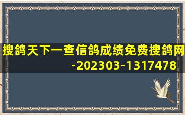 搜鸽天下一查信鸽成绩免费搜鸽网-202303-1317478