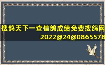 搜鸽天下一查信鸽成绩免费搜鸽网2022@24@0865578