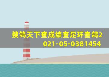 搜鸽天下查成绩查足环查鸽2021-05-0381454