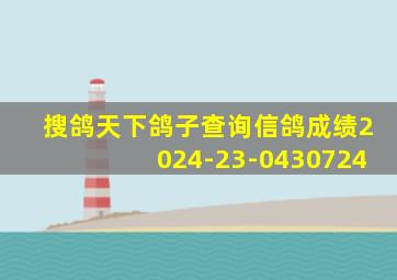 搜鸽天下鸽子查询信鸽成绩2024-23-0430724