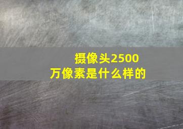 摄像头2500万像素是什么样的