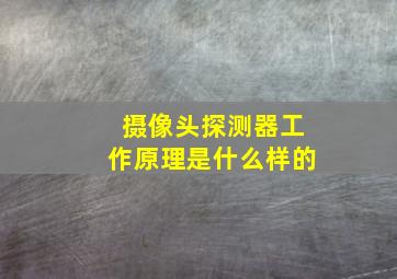 摄像头探测器工作原理是什么样的