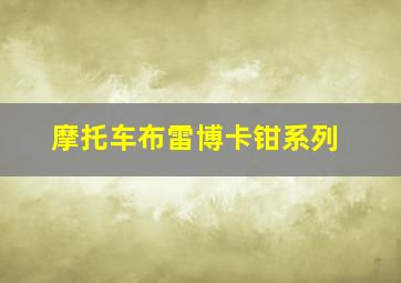 摩托车布雷博卡钳系列