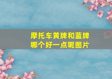 摩托车黄牌和蓝牌哪个好一点呢图片