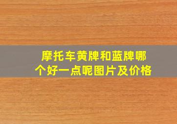 摩托车黄牌和蓝牌哪个好一点呢图片及价格