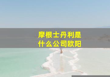 摩根士丹利是什么公司欧阳