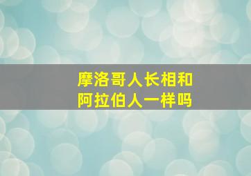 摩洛哥人长相和阿拉伯人一样吗