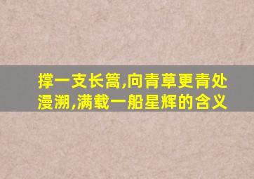 撑一支长篙,向青草更青处漫溯,满载一船星辉的含义