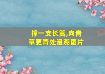 撑一支长篙,向青草更青处漫溯图片