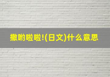 撒哟啦啦!(日文)什么意思