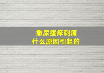 撒尿瘙痒刺痛什么原因引起的