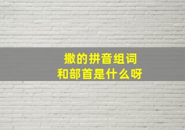 撒的拼音组词和部首是什么呀