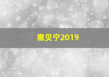 撒贝宁2019