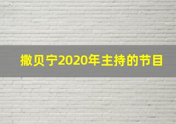 撒贝宁2020年主持的节目