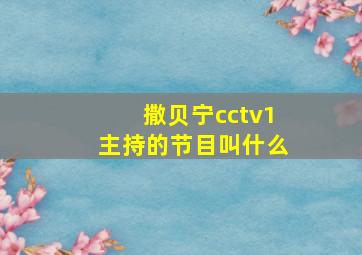 撒贝宁cctv1主持的节目叫什么