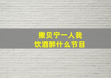 撒贝宁一人我饮酒醉什么节目