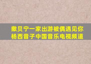 撒贝宁一家出游被偶遇见你杨西音子中国音乐电视频道