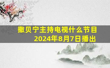 撒贝宁主持电视什么节目2024年8月7日播出