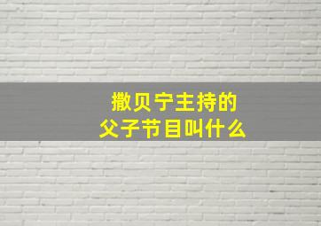 撒贝宁主持的父子节目叫什么