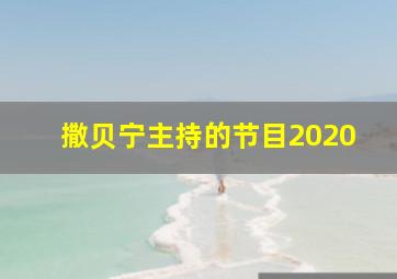 撒贝宁主持的节目2020