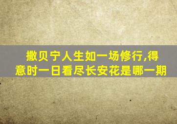 撒贝宁人生如一场修行,得意时一日看尽长安花是哪一期