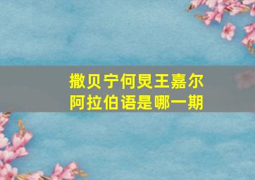 撒贝宁何炅王嘉尔阿拉伯语是哪一期