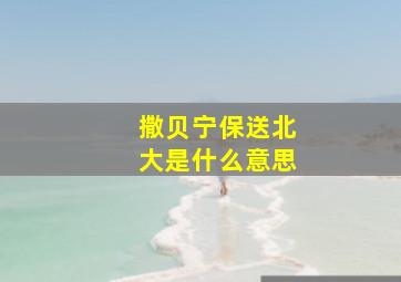 撒贝宁保送北大是什么意思