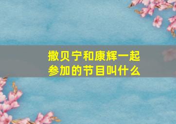 撒贝宁和康辉一起参加的节目叫什么