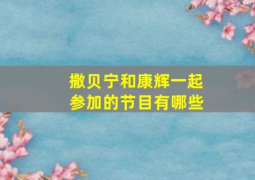 撒贝宁和康辉一起参加的节目有哪些